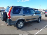 Miniaturka zdjęcia 4