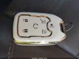 Miniaturka zdjęcia 11