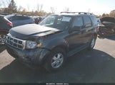 Ford Escape Xlt 1FMCU037X9KA80558 снимка