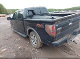 Ford F-150 Fx4 1FTFW1ET2DKG02359 снимка