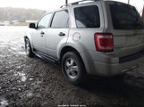 Ford Escape Xlt 1FMCU03G39KA02767 снимка