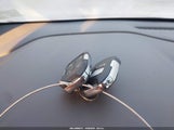Miniaturka zdjęcia 11