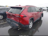 Toyota Rav4 Xle JTMP1RFV0MD076643 снимка