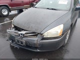 Honda Accord 2.4 Lx 1HGCM56415A105528 photo