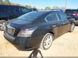 Nissan Maxima 3.5 Sv 1N4AA5AP2CC845922 снимка