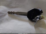 Miniaturka zdjęcia 11