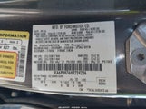 Miniaturka zdjęcia 9