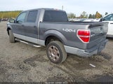 Ford F-150 Fx4/King Ranch/Lariat/Platinum/Xl/Xlt 1FTPW14V49FB27966 fotografie