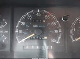 Ford Bronco U100 1FMEU15H9LLA88799 снимка