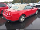 Ford Mustang V6/V6 Premium 1ZVBP8EN7A5170333 photo