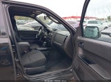 Ford Escape Xlt 1FMCU93G89KB86706 снимка