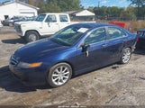 Acura Tsx JH4CL96806C031891 снимка