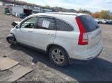 Honda Cr-V Ex-L 5J6RE4H7XAL017805 photo