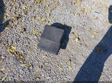 Pontiac G6 1G2ZF55B664285385 снимка
