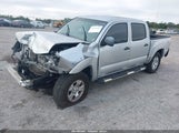 Toyota Tacoma Prerunner V6 3TMJU62N95M006548 photo