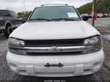 Chevrolet Trailblazer Ls 1GNDT13S762276319 снимка