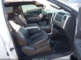 Ford F-150 Svt Raptor 1FTFW1R63DFD69248 снимка