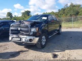 Ford F-150 Xlt 1FTFW1EF5DKE74354 снимка