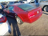 Ford Mustang V6 1ZVFT80N365128527 снимка