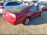 Ford Mustang V6 1ZVFT80N365128527 снимка