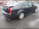 Cadillac Cts Luxury 1G6DG5E58D0120765 снимка