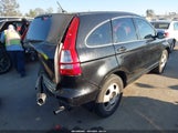 Honda Cr-V Lx JHLRE38307C031785 снимка