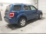 Ford Escape Xlt 1FMCU93128KD92680 fotografie