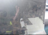 Miniaturka zdjęcia 7