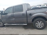 Ford F-150 Fx4/Harley-Davidson/King Ranch/Lariat/Platinum/Xl/Xlt 1FTFW1EV1AFD25998 photo