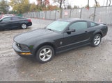 Ford Mustang V6 Deluxe/V6 Premium 1ZVHT80N975196728 снимка