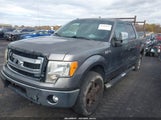 Ford F-150 Xlt 1FTFW1EF9DFA22691 снимка