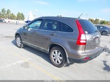 Honda Cr-V Ex-L 5J6RE48799L015006 fotografie