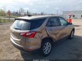 Chevrolet Equinox Ls 2GNAXSEVXK6121233 снимка