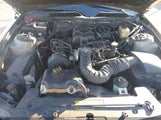 Ford Mustang V6 Deluxe/V6 Premium 1ZVFT80N055107522 photo