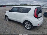 Miniaturka zdjęcia 3