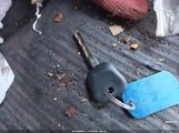 Miniaturka zdjęcia 11
