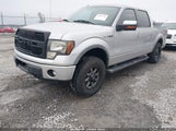 Ford F-150 Fx4 1FTFW1ET5DKE83111 снимка