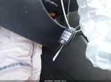 Miniaturka zdjęcia 11