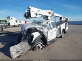 Ford Terex F-550 Chassis Xl 1FDUF5HTXRDA39255 fotografie
