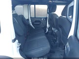 Miniaturka zdjęcia 8
