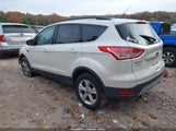 Miniaturka zdjęcia 3