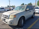 Ford Escape Xlt 1FMCU03Z38KA10383 снимка