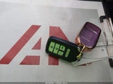 Miniaturka zdjęcia 11