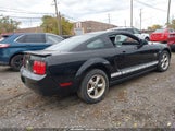 Ford Mustang V6/V6 Premium 1ZVHT80N195142262 photo