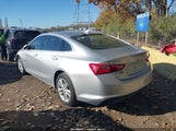 Miniaturka zdjęcia 3