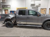 Ford F-150 Xlt 1FTFW1EF4DKE11911 снимка