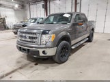 Ford F-150 Xlt 1FTFW1EF4DKE11911 снимка