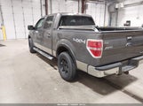 Ford F-150 Xlt 1FTFW1EF4DKE11911 снимка