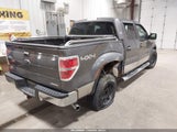 Ford F-150 Xlt 1FTFW1EF4DKE11911 снимка