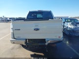 Ford F-150 Fx4/King Ranch/Lariat/Platinum/Xl/Xlt 1FTPW14V89KC92121 photo